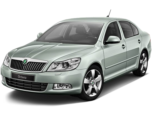 Чип-тюнинг Skoda Octavia в Барнауле.